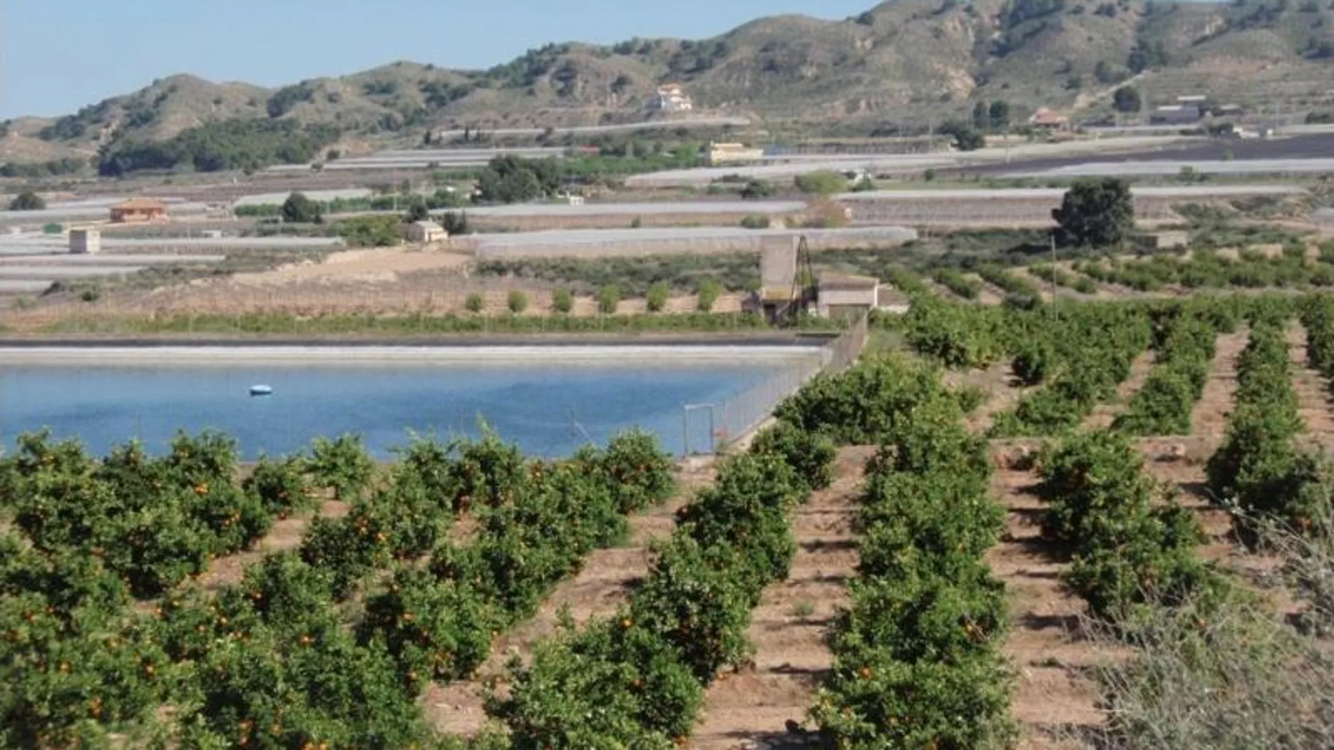 Zona de riego de la Comunidad de Regantes de Totana