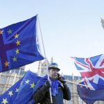 Un manifestante antibrexit con las banderas británica y europea el viernes en Westminster