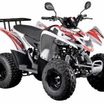 Muere un niño de 13 años en un accidente de quad en Valdés (Asturias)