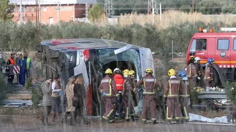 De vuelta de un día feliz sin cinturón de seguridad