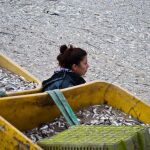 Una mujer observa sardinas muertas en la caleta de Queule, 700 kilómetros al sur de Santiago (Chile). Pescadores y miembros del Ejército de Chile iniciaron el retiro de las más de 1.200 toneladas de sardinas muertas que vararon hace unos días en el lugar