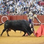 Manzanares, en un momento de la corrida