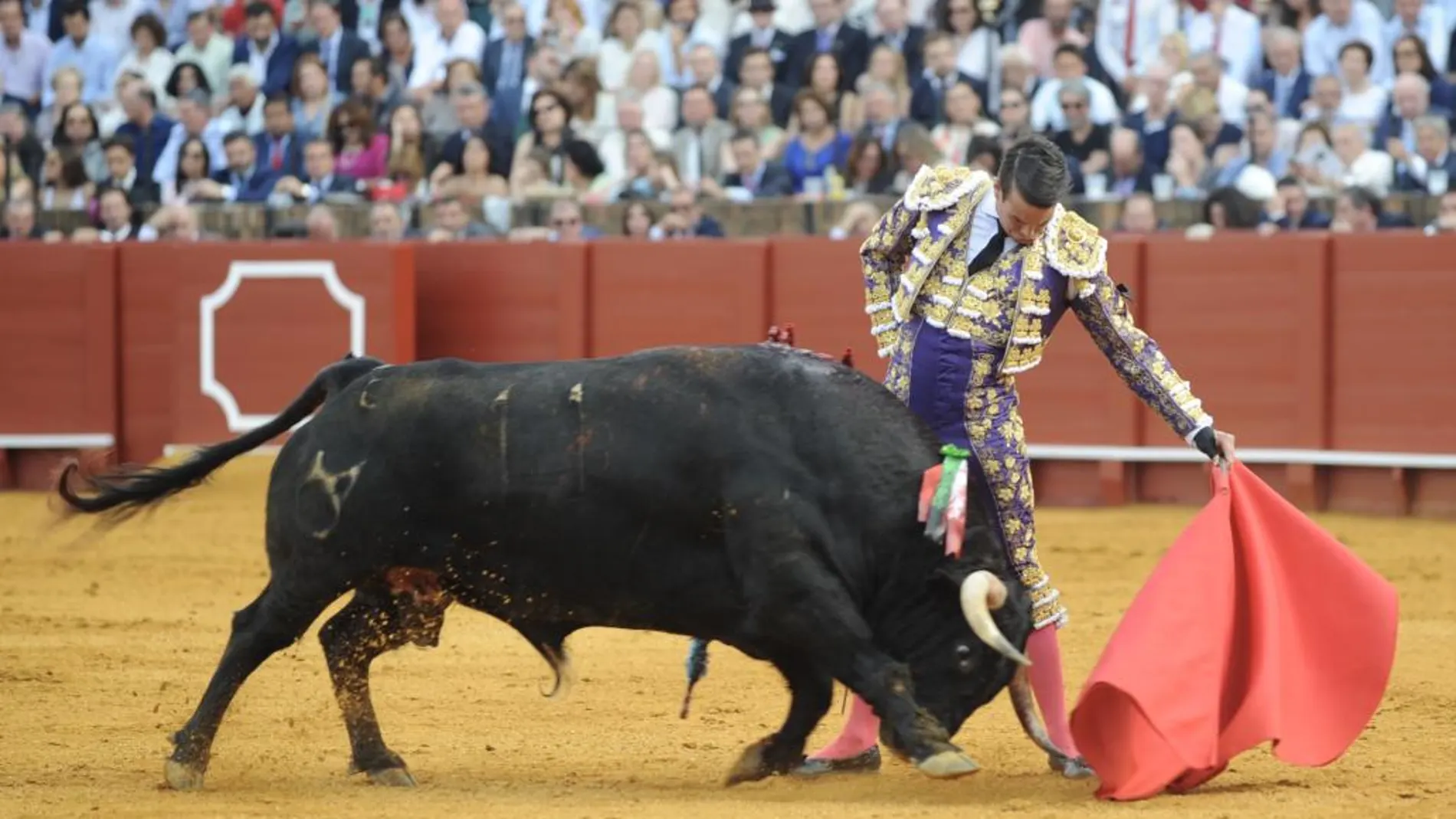 Manzanares, en un momento de la corrida