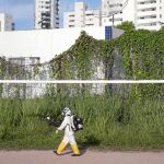 Un fumigador busca brotes del mosquito tigre en una barriada brasileña