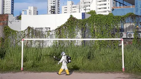 Un fumigador busca brotes del mosquito tigre en una barriada brasileña