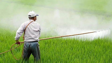 España votó a favor de seguir usando el glifosato en la Unión Europea