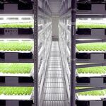 La sala de 4.400 metros cuadrados estará situada en unas instalaciones en la localidad de Kizugawa.