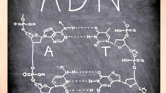 Cuando a principios de siglo se descodificó el genoma humano, la ciencia estableció el orden en el que la naturaleza ha colocado las letras de nuestro ADN