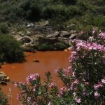 Las aguas «ácidas» y «con metales pesados» enrojecieron el río