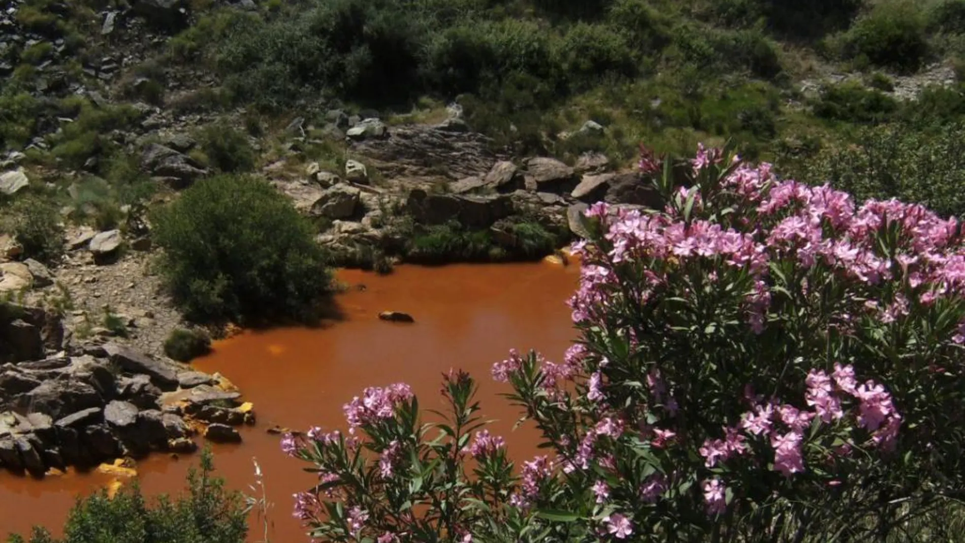 Las aguas «ácidas» y «con metales pesados» enrojecieron el río