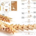 Dieta sin gluten: La falta de base científica destrona a la última tendencia para adelgazar