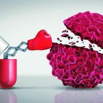 Cáncer: ¿Por qué un 30% de los tumores es resistente a los tratamientos?