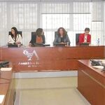 Comisión Especial contra la Discriminación y Violencia de Género