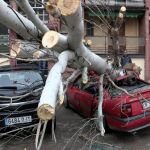 Imagen de televisión del árbol caído hoy sobre un coche aparcado en la calle Alegría de Oria, en el barrio de San Blas en Madrid,