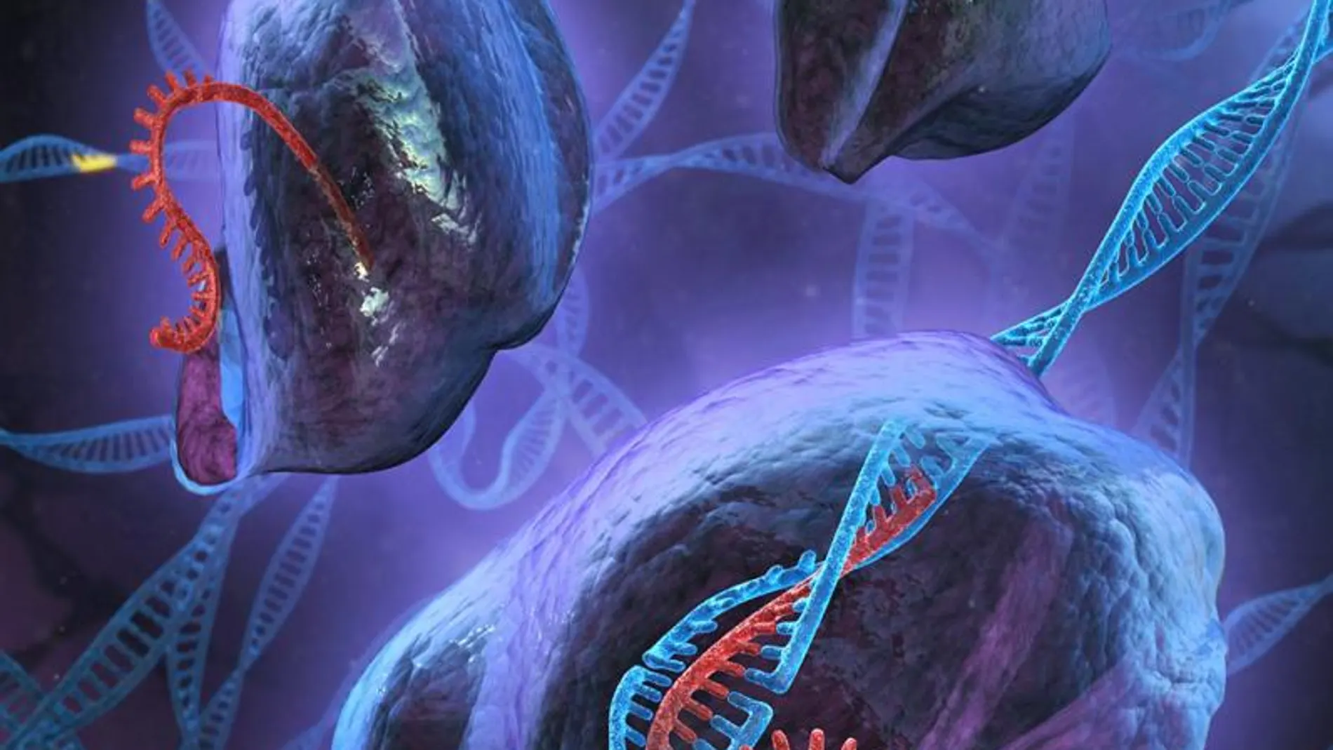 Tecnología de copiado y pegado de genes CRISPR