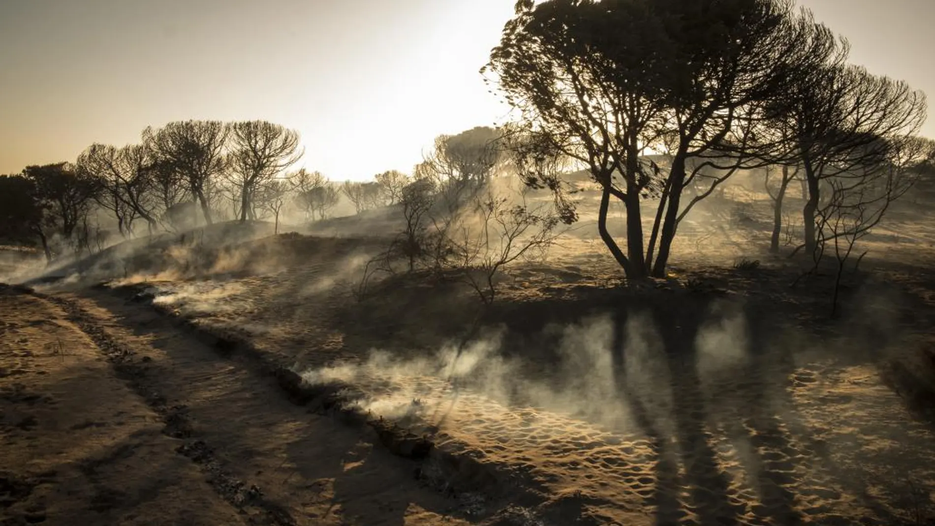 Paraje de Cuesta Maneli tras el incendio que afectó al entorno del Espacio Natural de Doñana