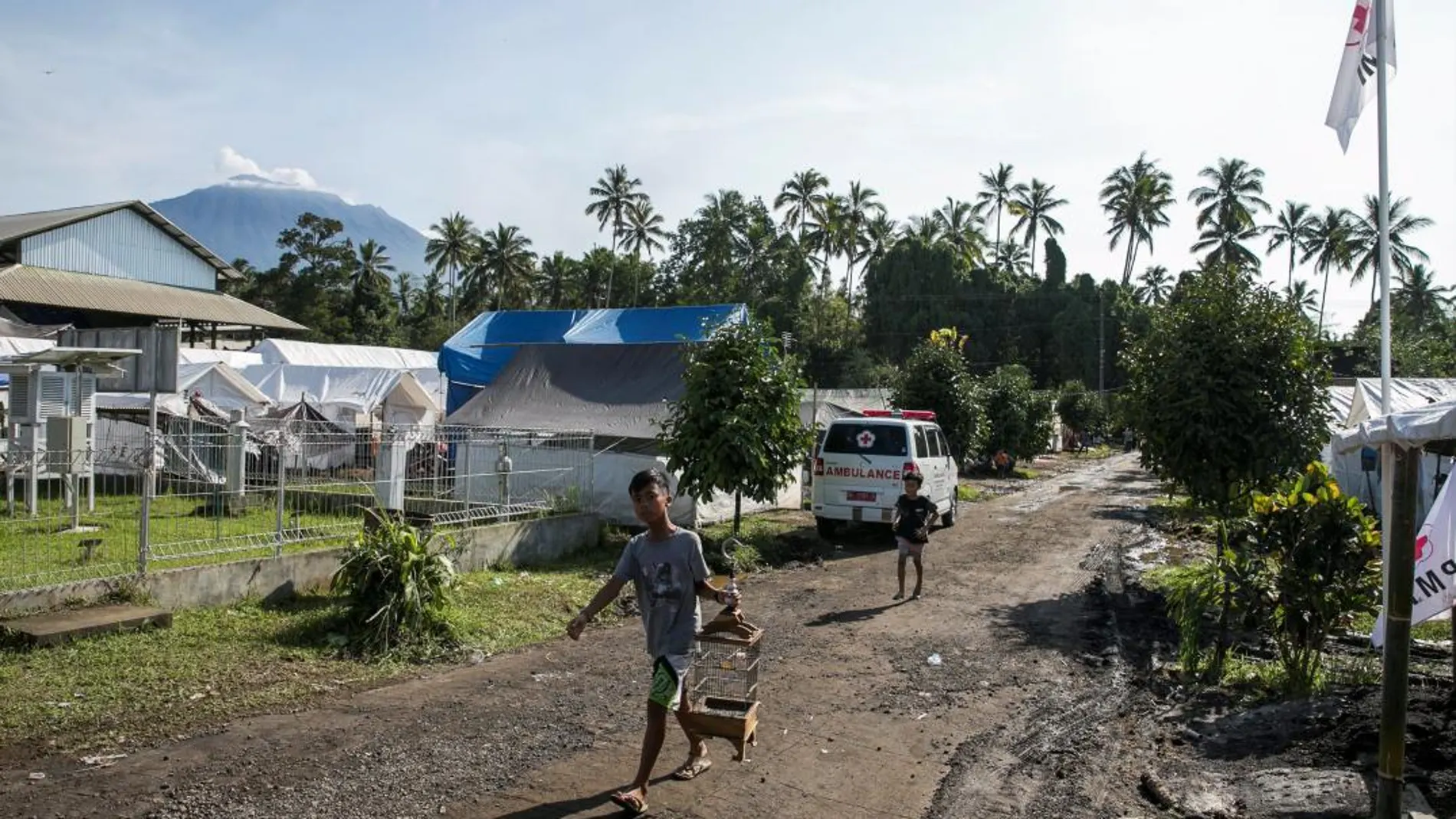 Un terremoto de 6,5 grados sacude la isla de Java