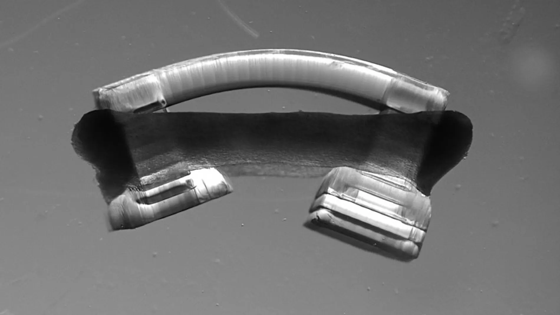 Bio-robots que se mueven con la luz