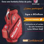 Bolsa de palos de Wilson Staff