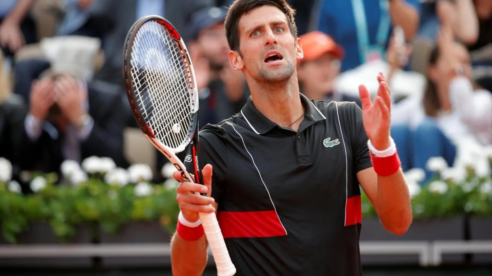 El serbio Novak Djokovic / Foto: Reuters
