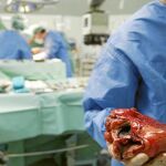 Trasplante de un corazón en un paciente en uno de los hospitales de la Comunidad