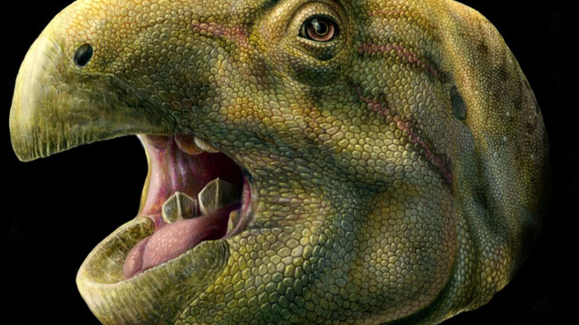 El dinosaurio «dientes-tijeras»