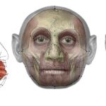 Recreación de cómo sería un Homo floresiensis