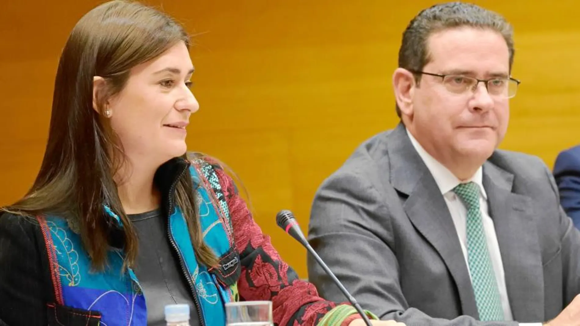 Montón admite que no tiene el «presupuesto deseado» pues aspiraba a mayores partidas