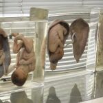Fotografía facilitada por el Departamento forense del complejo hospitalario de Sijirat de varios fetos exhibidos en el museo forense del Hospital.