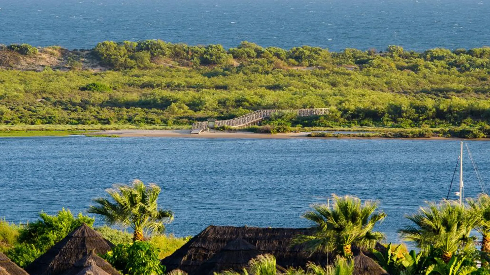 Cómo compensar la huella de carbono de un hotel