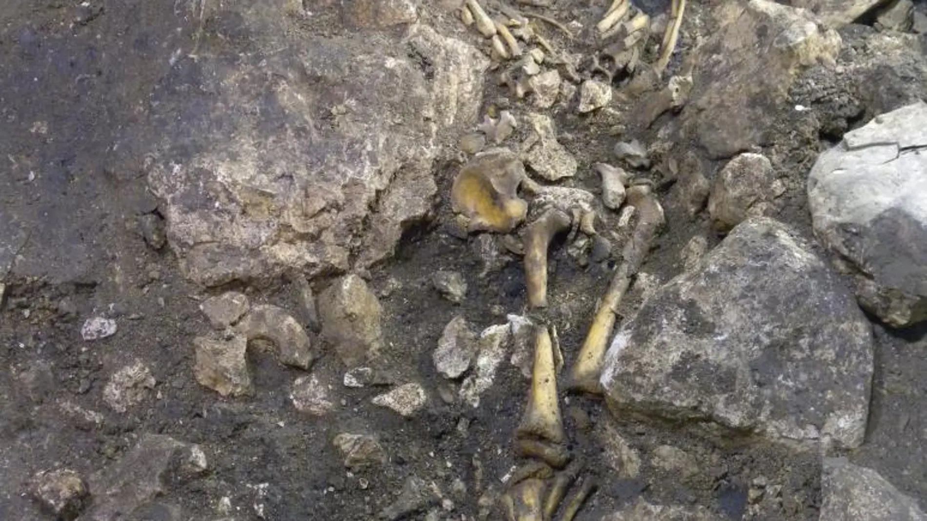 Restos de un niño hallado en Atapuerca