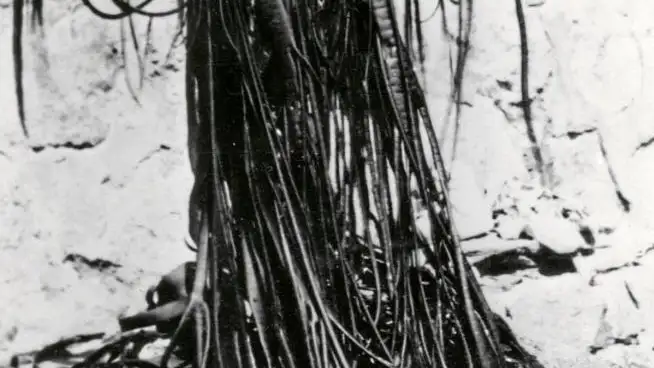 «Maruja Mallo cubierta de algas» en una imagen tomada en 1945