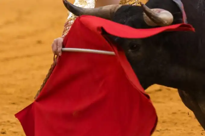 Castaño, el torero que venció al cáncer con «Alma de Acero»