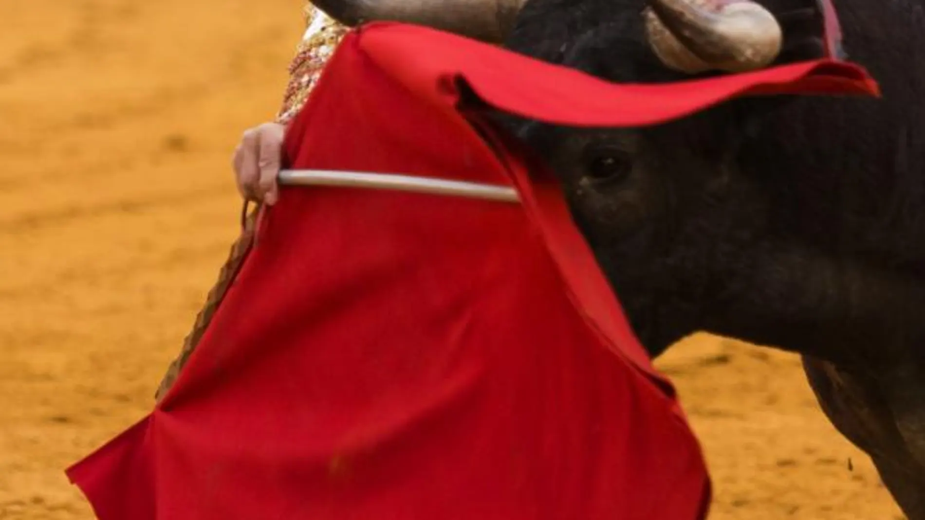 Javier Castaño toreando en Sevilla