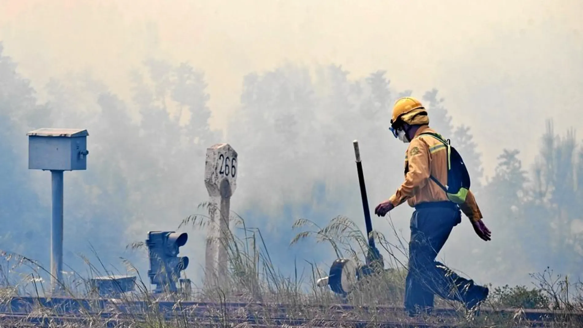 Las llamas arrasaron más de 12 hectáreas de terreno en Llançà