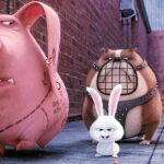 Imagen de la película «Mascotas», estrenada el año pasado