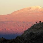 Restauración forestal para luchar contra la desertificación