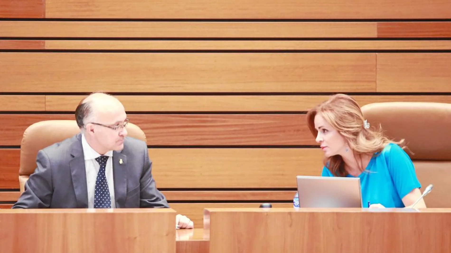 La presidenta de las Cortes, Silvia Clemente, conversa con el vicepresidente y procurador del PP, Ramiro Ruiz Medrano, ayer durante el Pleno