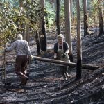 Los propietarios de los montes gallegos evalúan las pérdidas tras los incendios de los últimos días y empiezan a hacer labores de limpieza