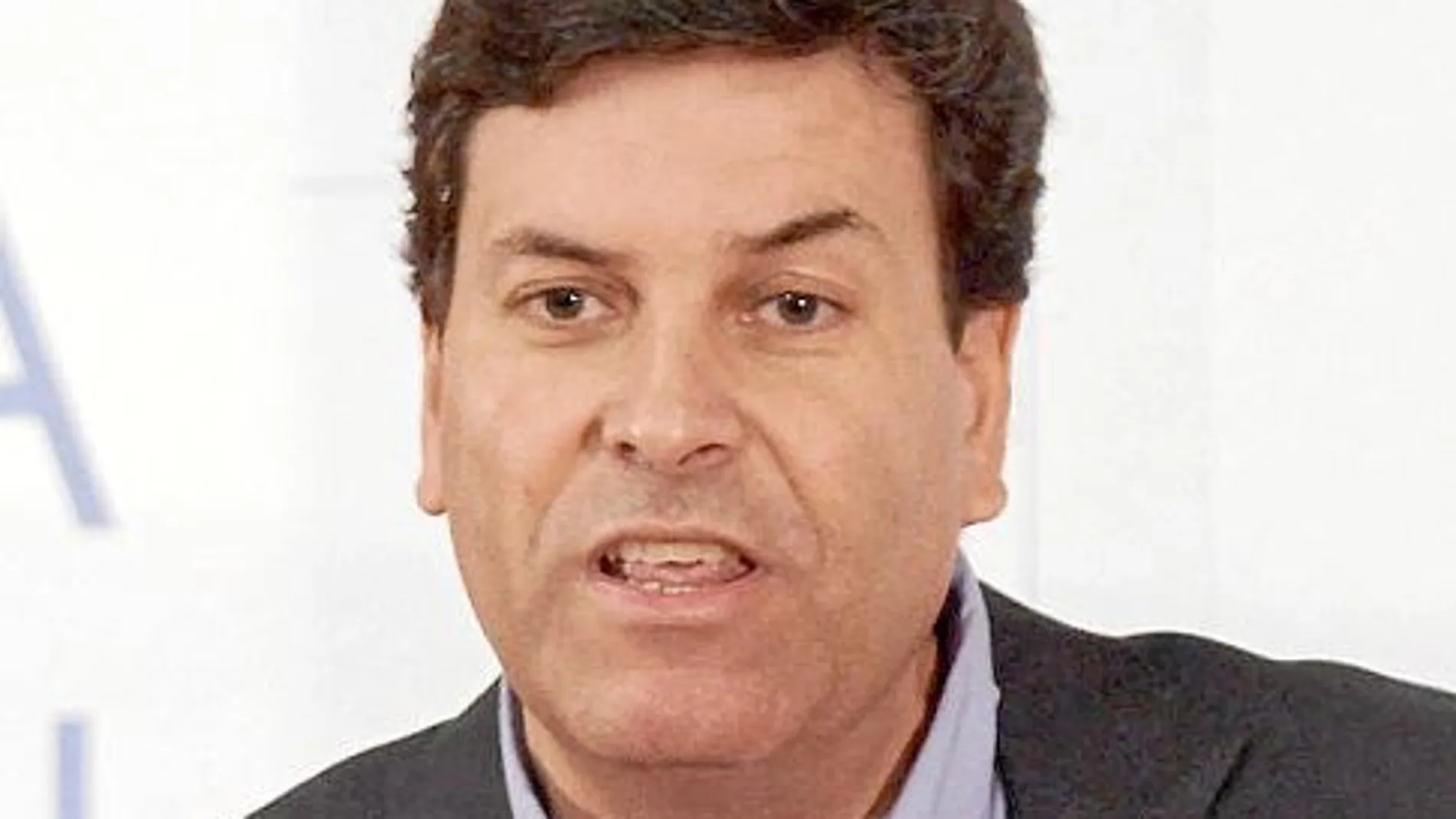El portavoz del Partido Popular en las Cortes, Carlos Fernández Carriedo