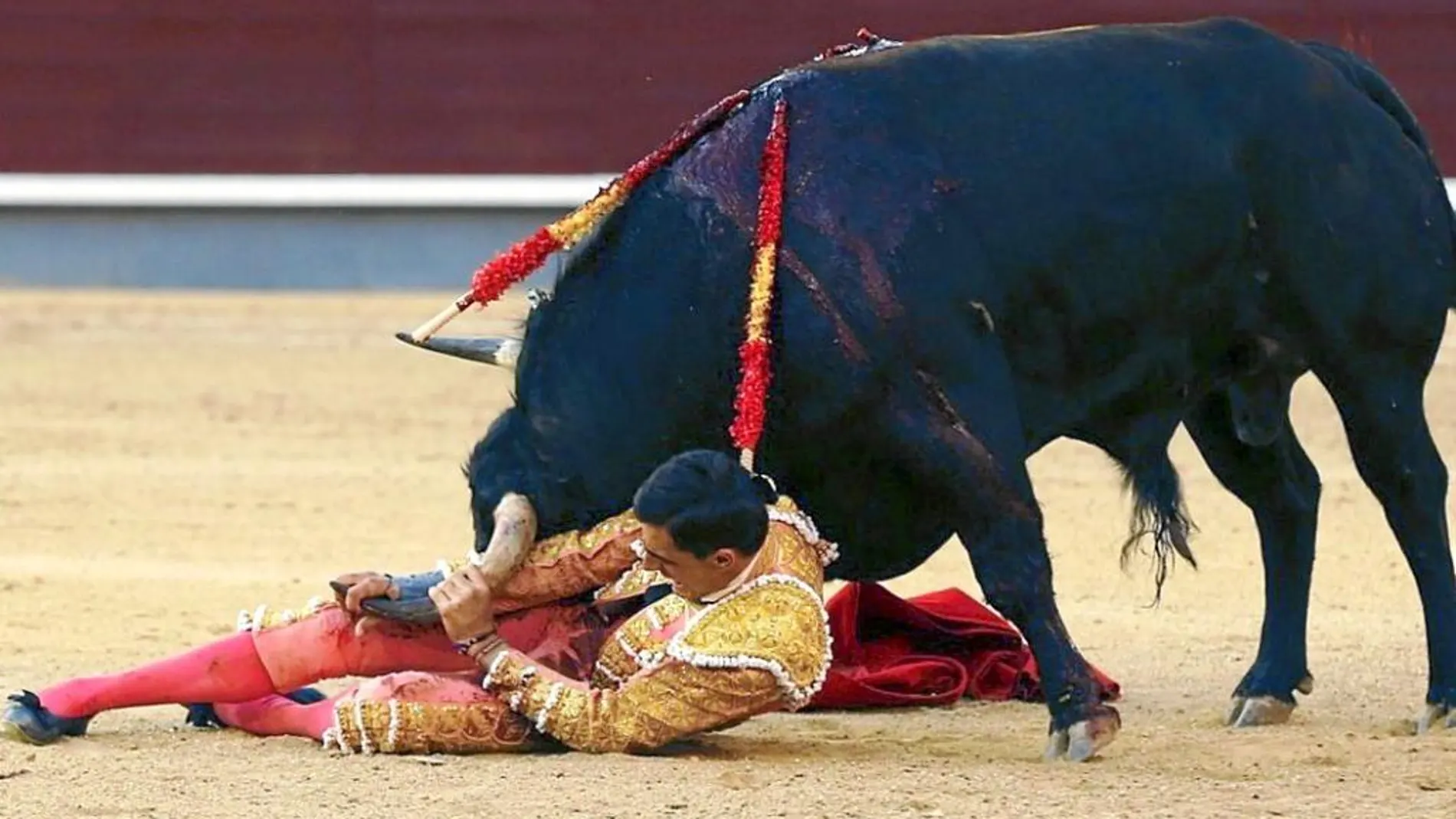 Paco Ureña resultó volteado por el quinto de la tarde, al que le cortó una oreja