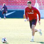 Fernando Torres, en un entrenamiento con el Atlético