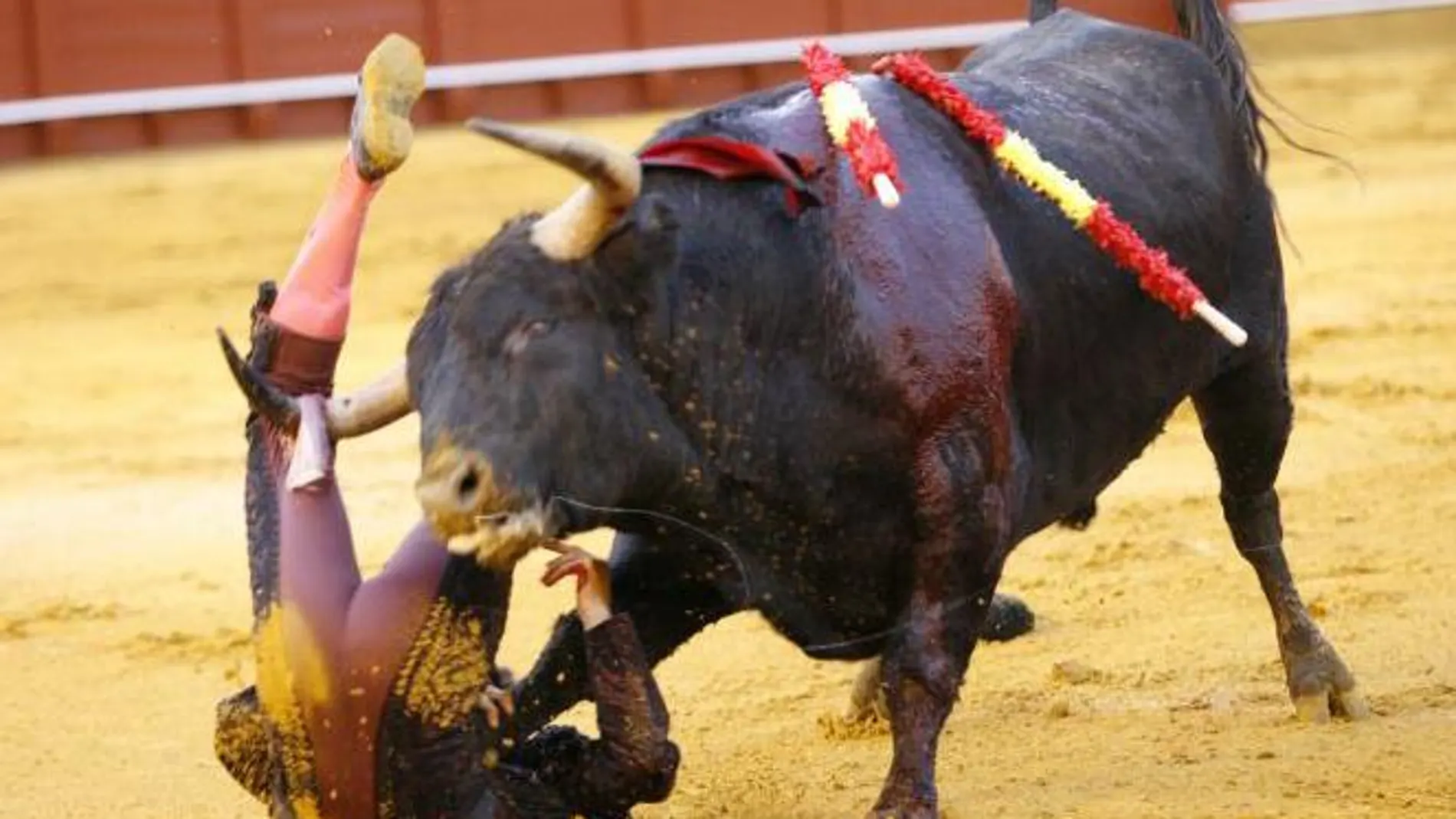 Niño de Leganés, cogido por el quinto toro de Garcigrande tras un par de banderillas