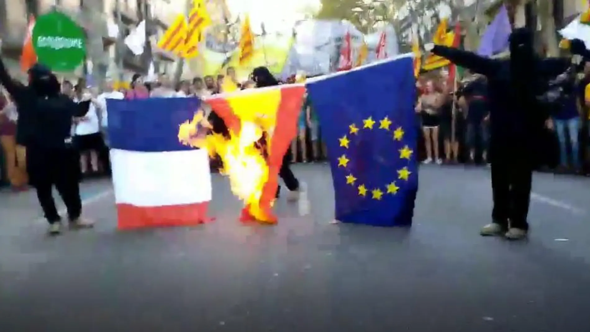 Los cachorros de la CUP queman banderas de España, Francia y la UE