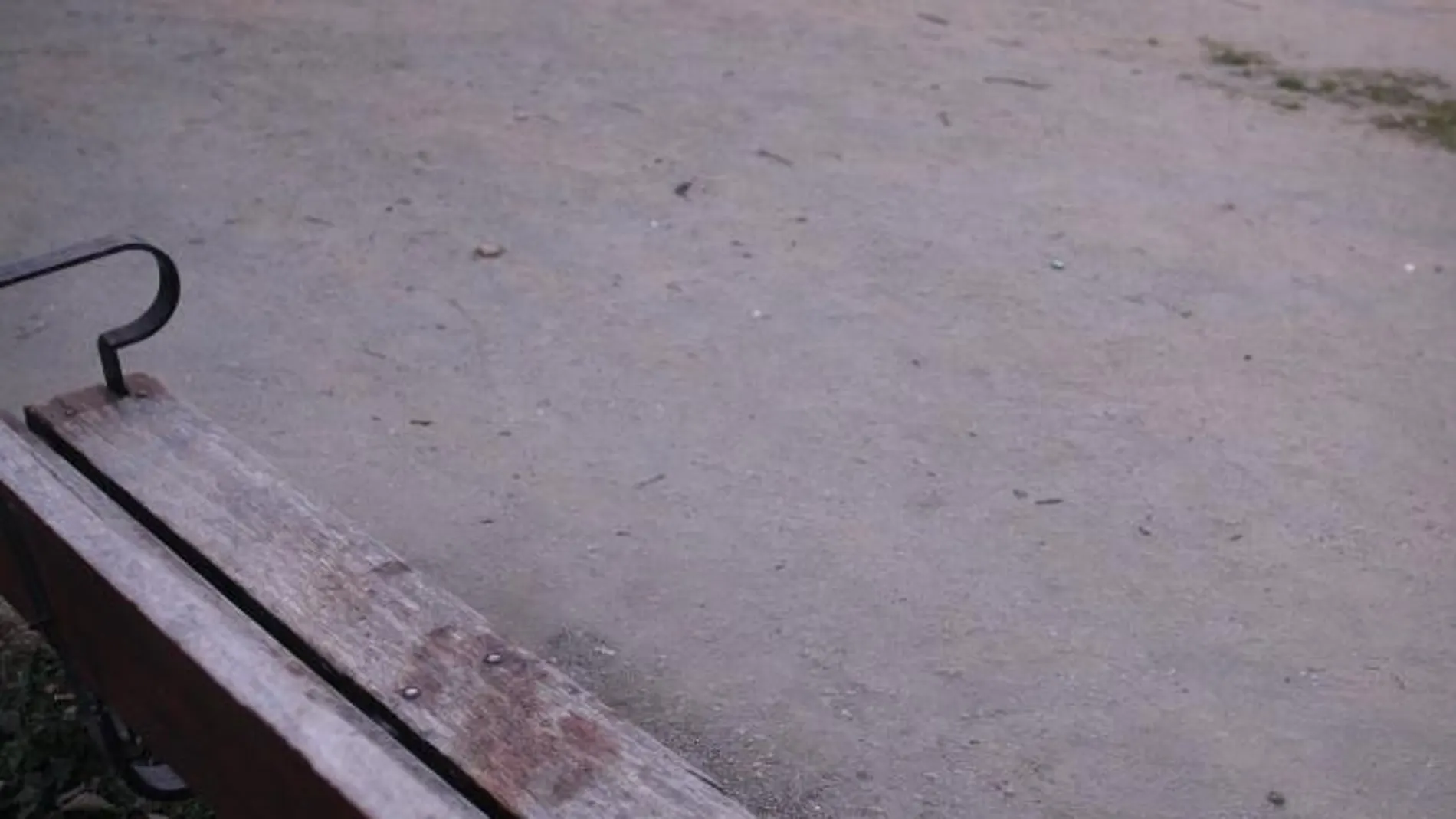 Sus integrante serían menores y mayoritariamente mujeres