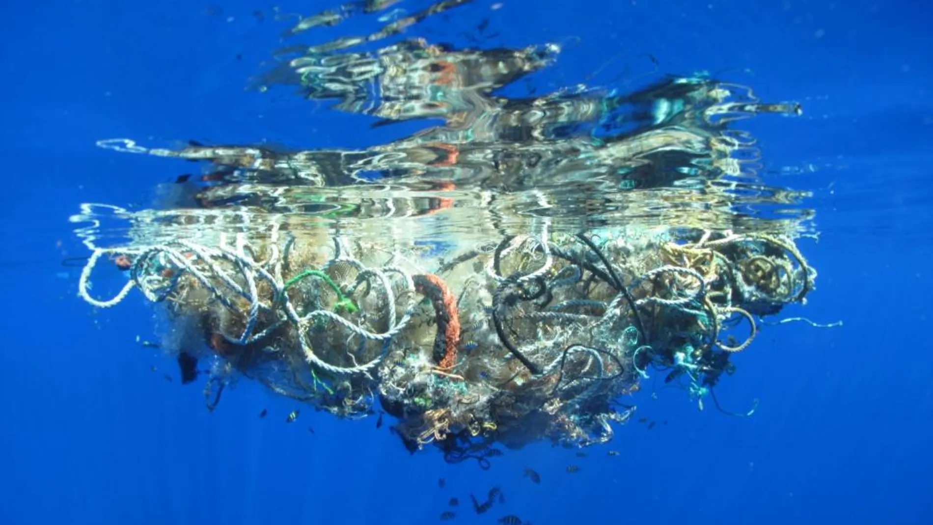 Montones de basura en el mar, en una imagen de archivo
