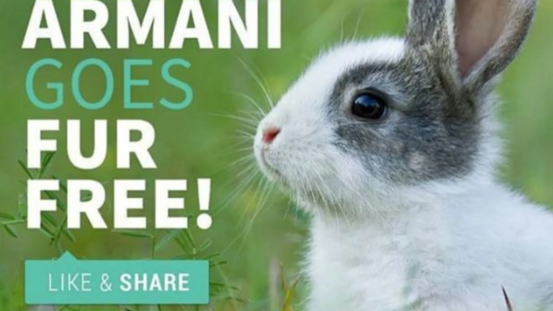 Armani dejará de usar pieles de animales