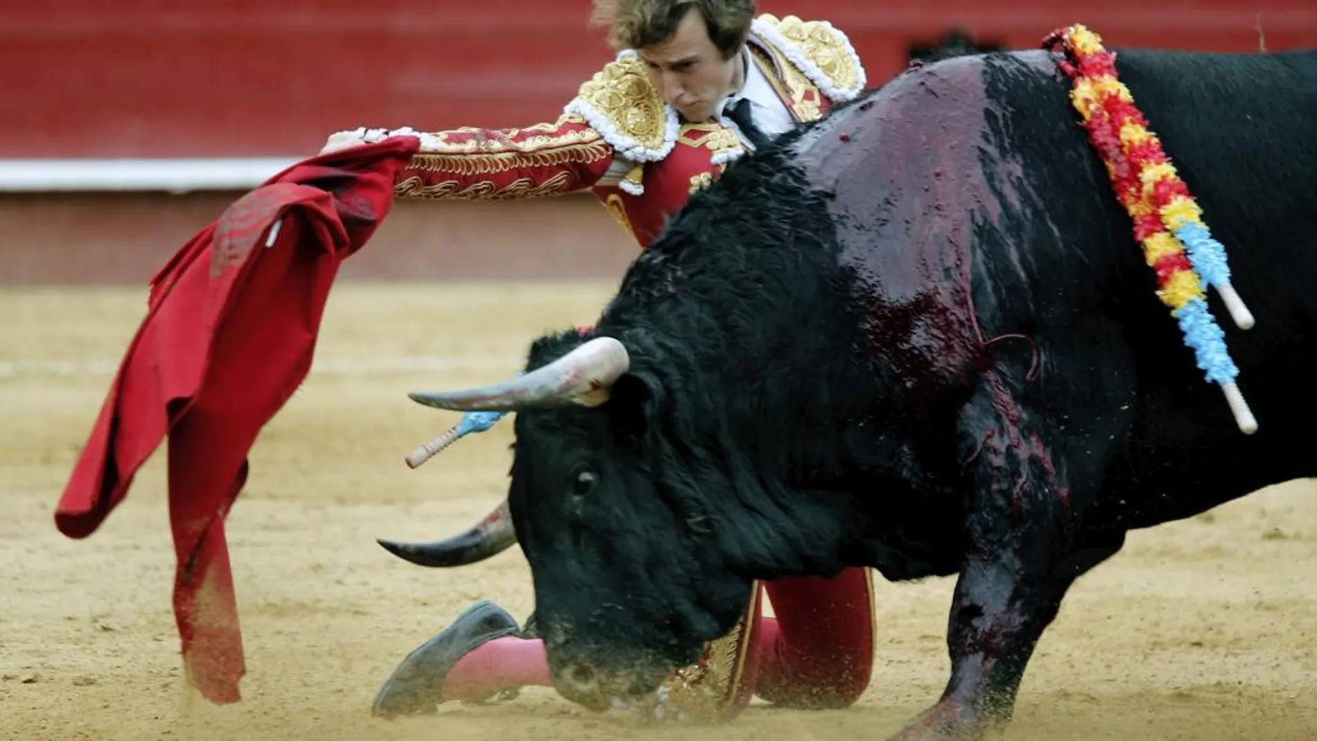 El torero valenciano Román, único matador de toros que cortó una oreja en el festejo