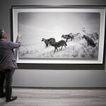 Sugimoto contempla una foto de su serie «Diorama»