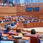 Vista del hemiciclo durante la votación de la convalidación del decreto-ley que impide matar al Toro de la Vega